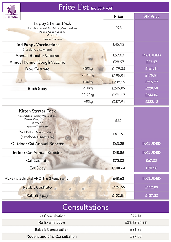 Price List | Thistle Vets